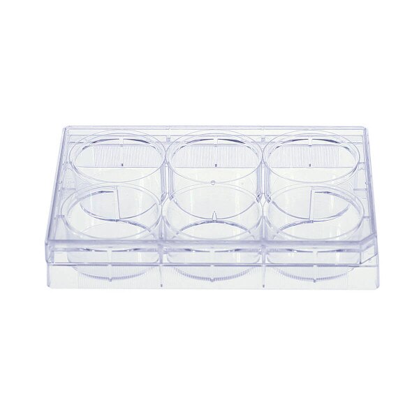 6 Well Cell Culture Plate
